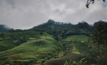 landscape photography of green field viewing mountain under white sky