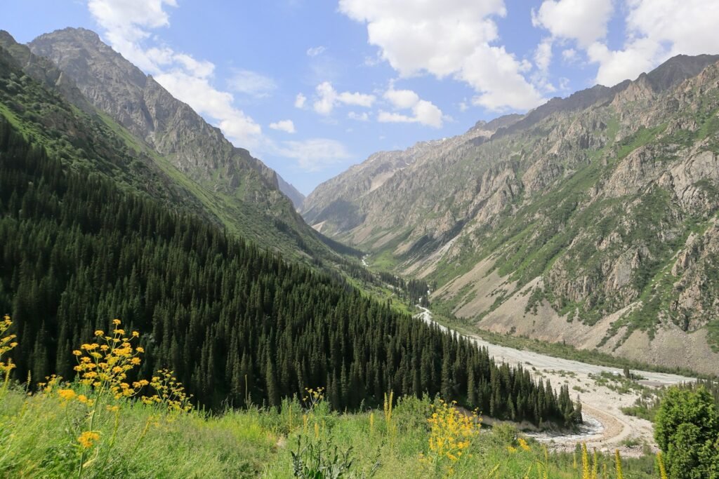 A scenic view of a mountain valley with a river running through it