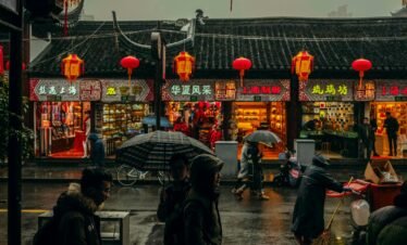 person carrying umbrellas